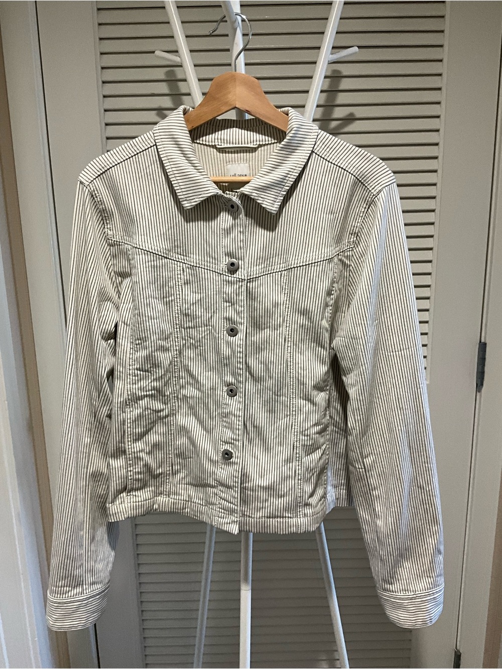 Striped Cotton denim Button-Front Jacket